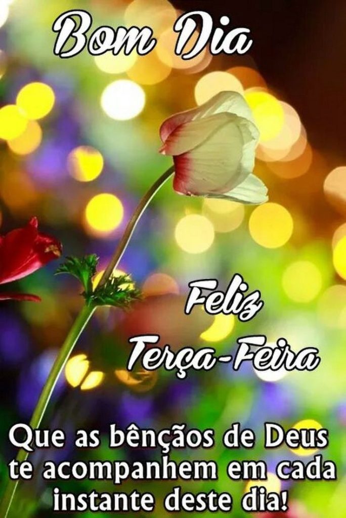 Feliz terça-feira as bênçãos de Deus te acompanhem.