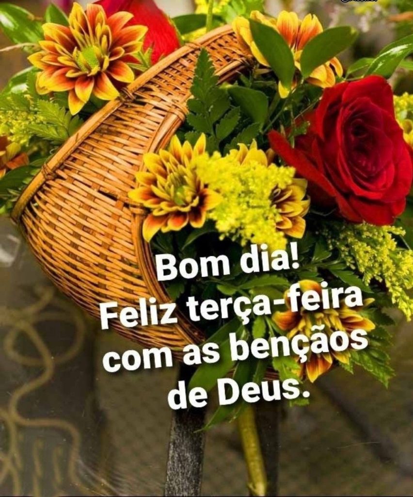 Feliz terça-feira com as bênçãos de Deus.