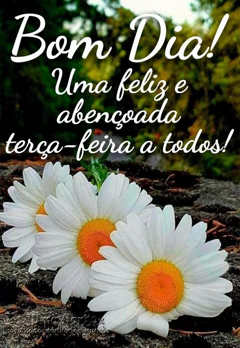 Feliz e abençoada terça-feira.