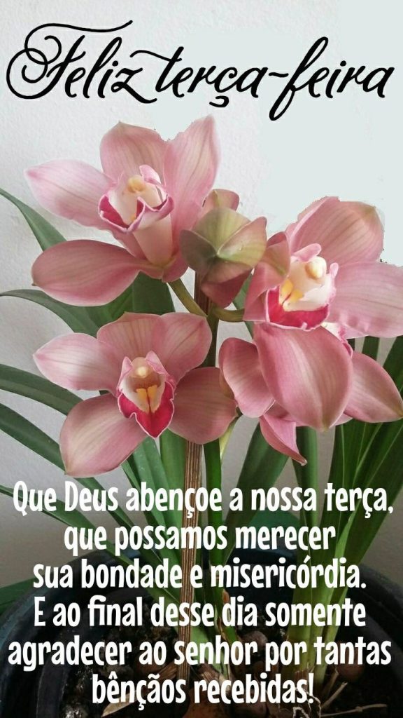 Feliz terça-feira Deus abençoe a nossa terça. 