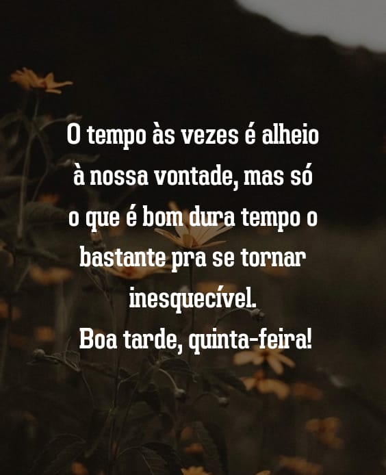 Boa tarde quinta-feira feliz 