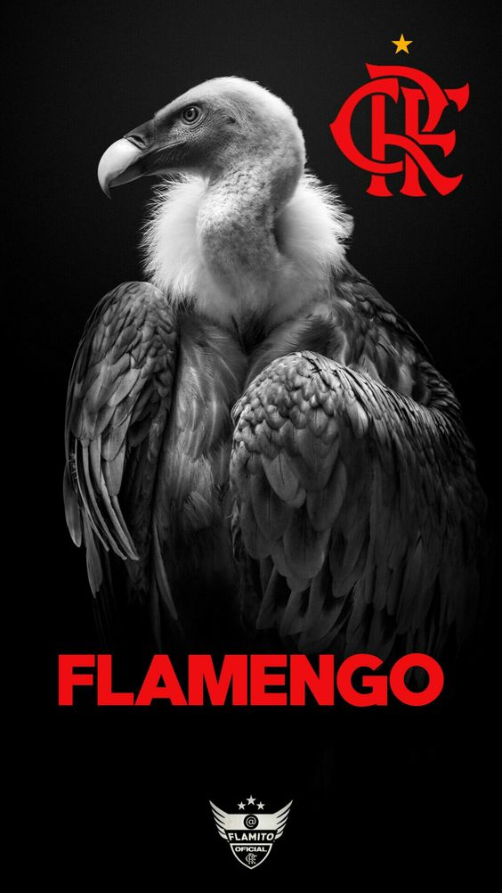 Papel de Parede do Flamengo para Celular