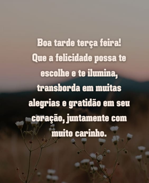 Terça feira com carinho e gratidão