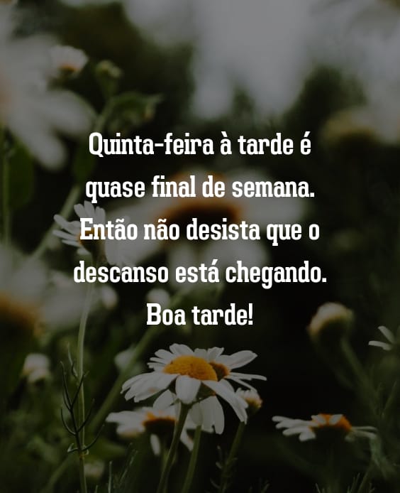 Boa tarde quinta feira com animação para o fim de semana