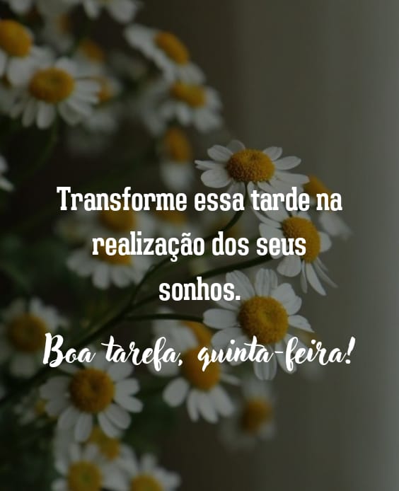 Boa tarde quinta-feira acredite nos seus sonhos