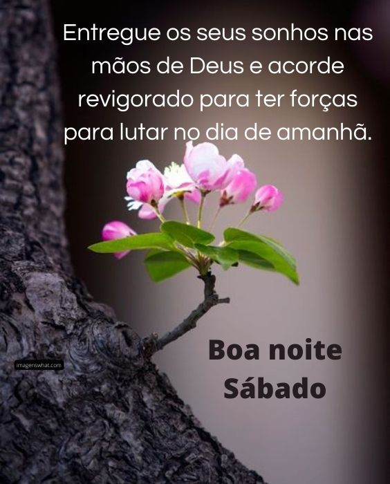 Boa noite sábado nas mãos de Deus