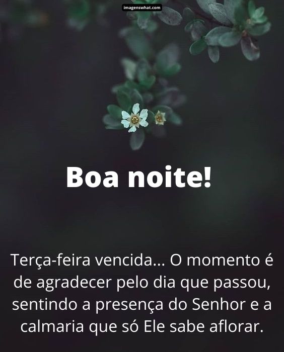 Boa noite terça-feira vencida