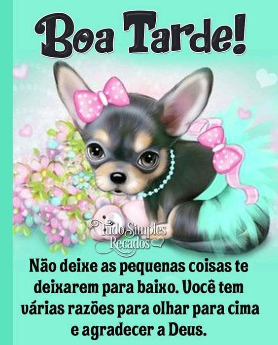 Boa tarde agradecer a Deus