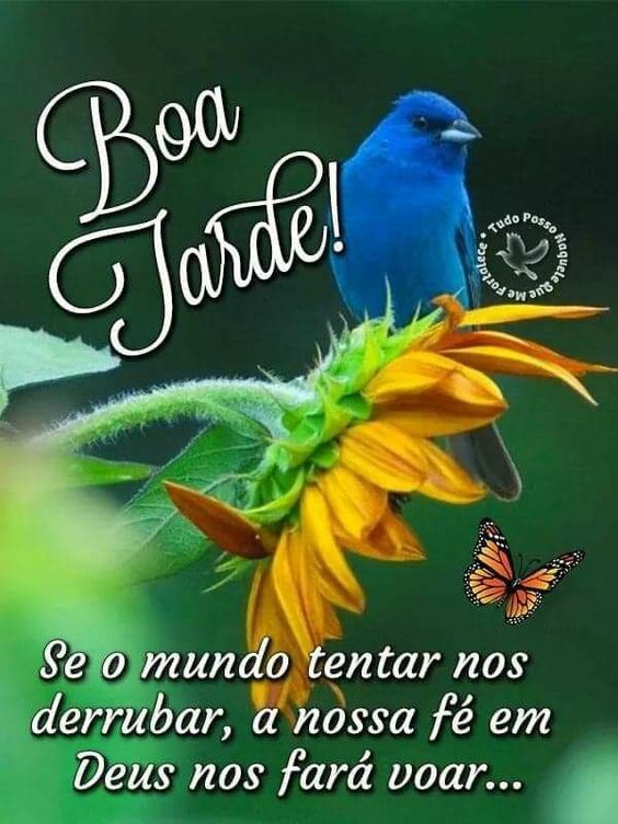 Boa tarde Deus fará voar