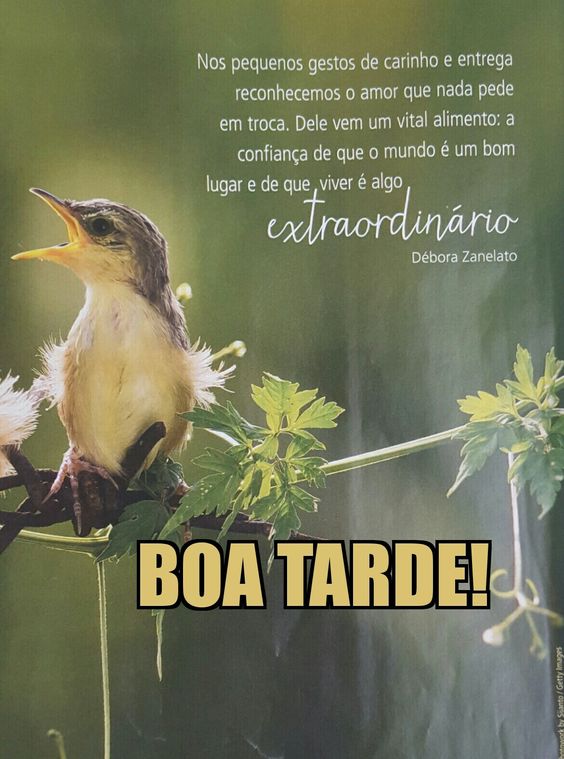 Mensagens de boa tarde nos gestos