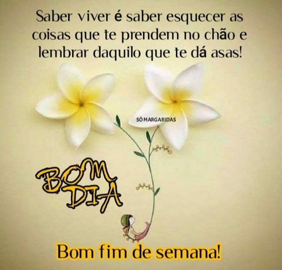 Bom dia saber viver