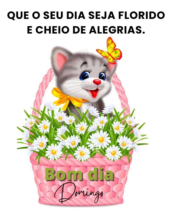 Que seu dia seja florido e cheios de alegria