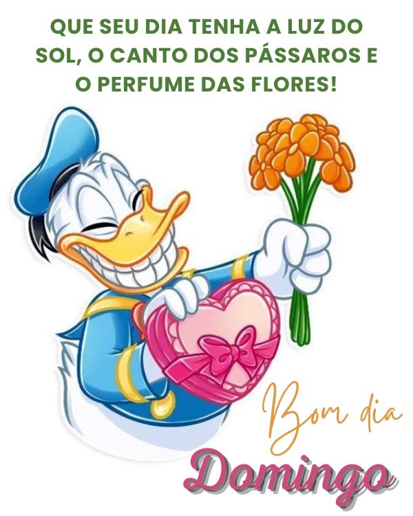 Que seu dia tenha sol e o perfume das flores