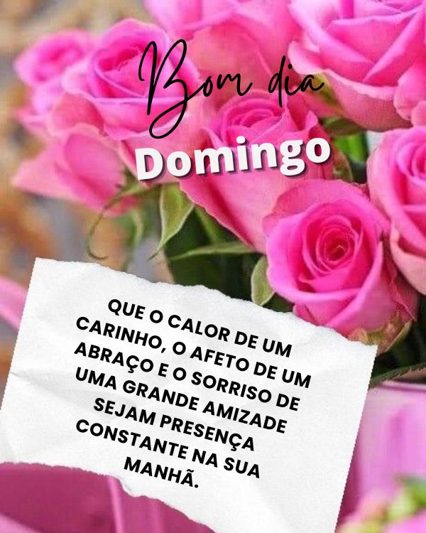 bom dia domingo carinhoso 4