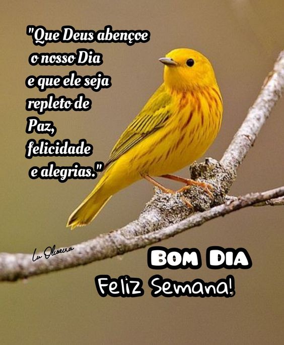 Deus abençoe feliz semana