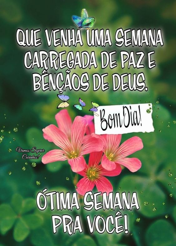 Bom dia semana de paz e bênçãos