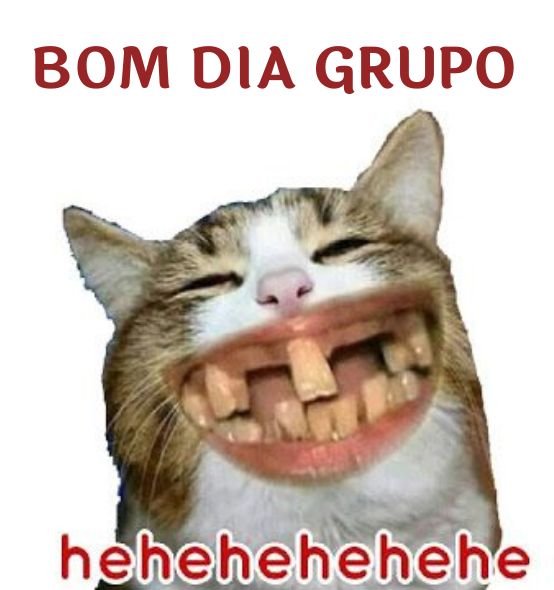 boom dia whatsapp amigos 1