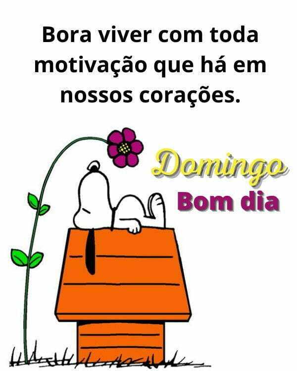 Bora viver com toda motivação essa manhã