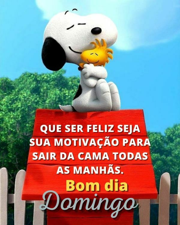 Motivação para todos os dias