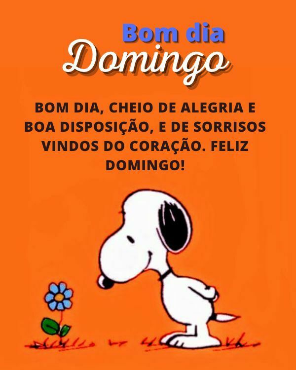 Bom dia cheio de alegria e boa disposição