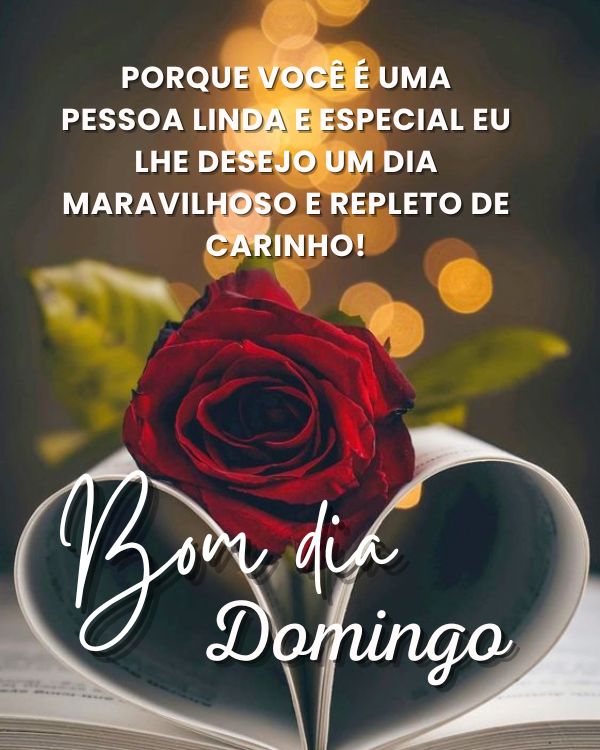 Flores de carinho para bom dia domingo