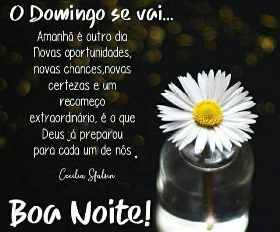 Boa noite Domingo se via