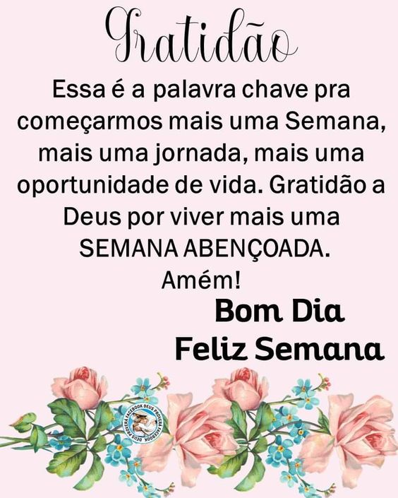 Gratidão bom dia feliz semana