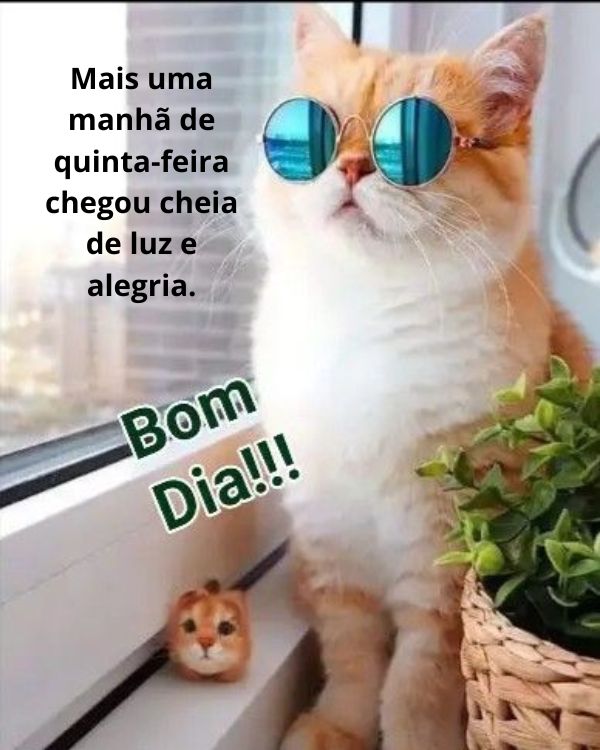 Bom dia engraçado para whatsapp