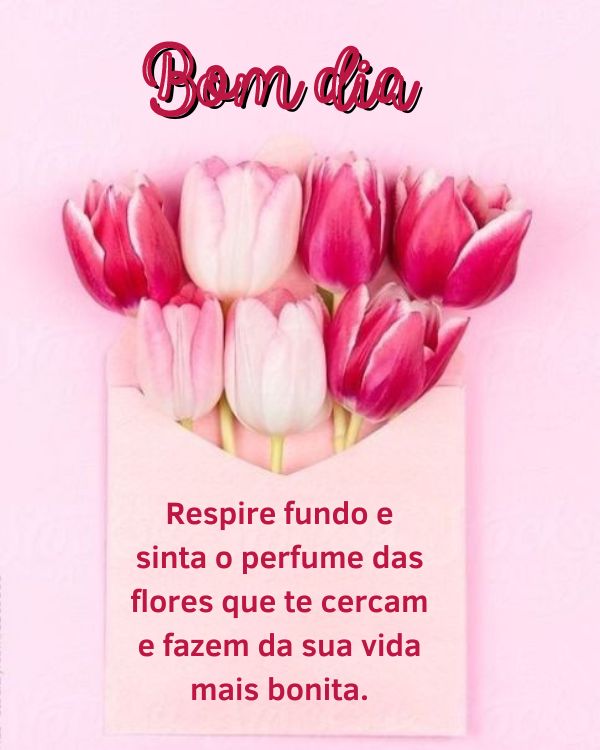 Bom dia com flores