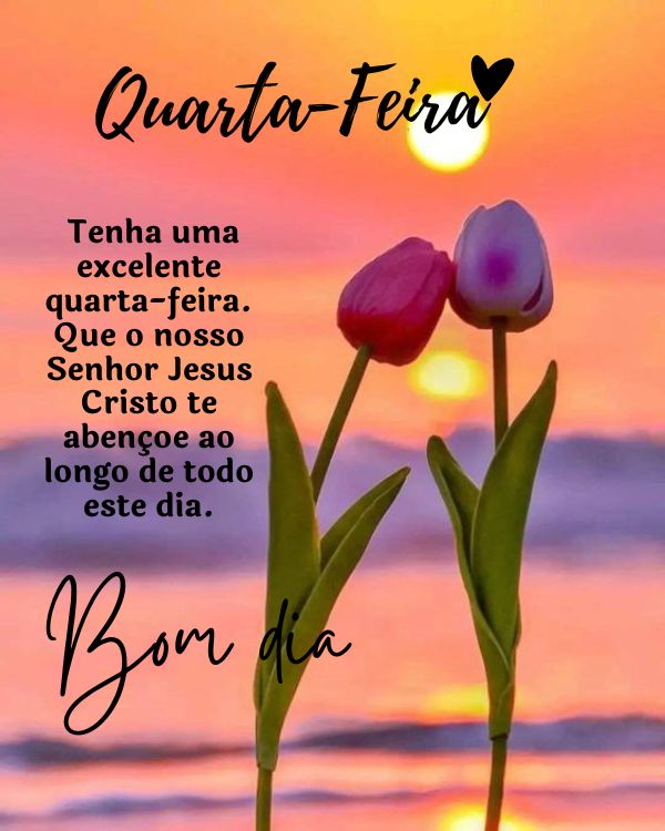 Tenha uma excelente quarta-feira