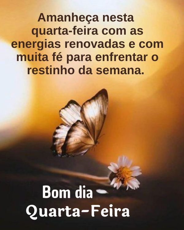 Bom dia para renovar as energias