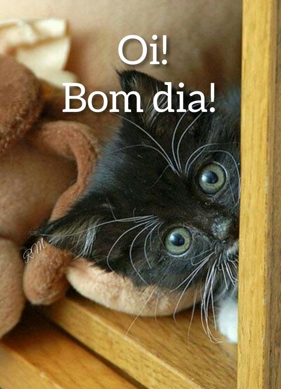 oi bom dia