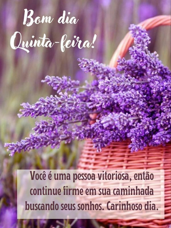 você é uma pessa vitoriosa bom dia quinta feira