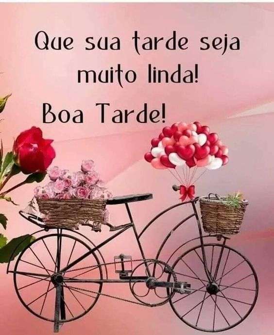 bicicleta com duas cestas de rosas