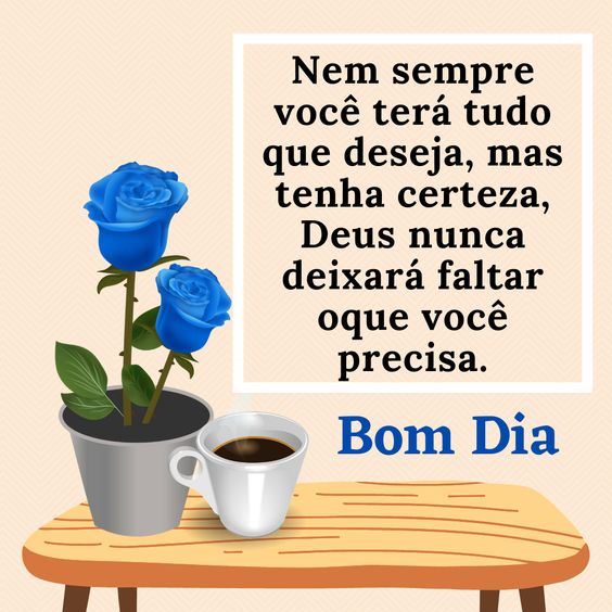 Bom dia você precisa