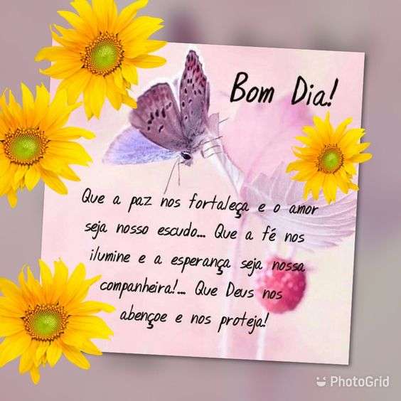 Bom dia com alegria em Deus