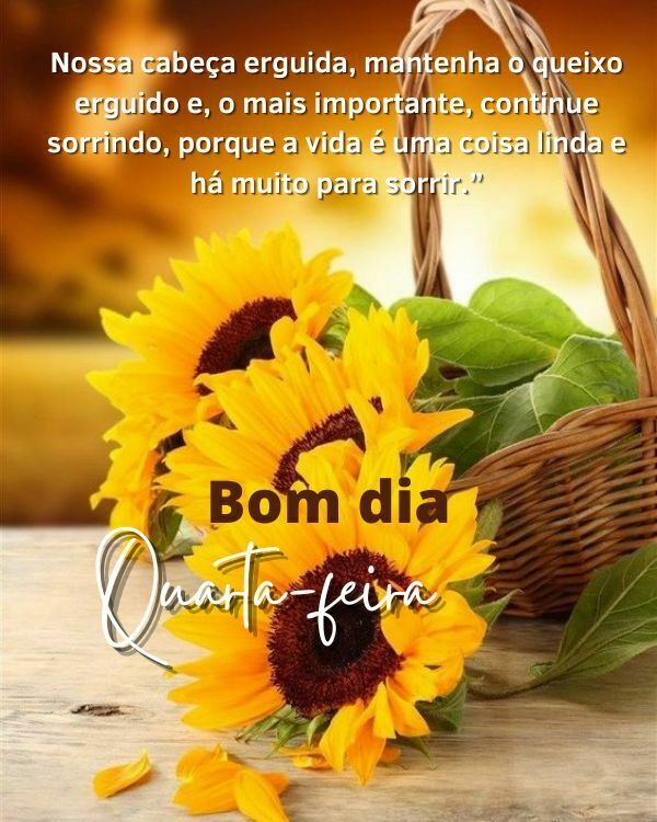 Quarta-feira com carinho e flores