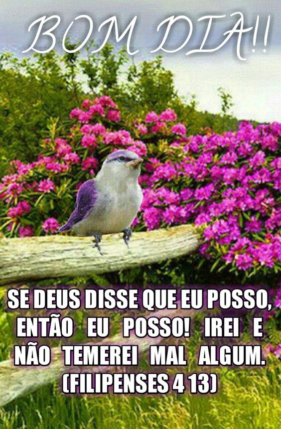 Filipenses 4:13 Bom dia