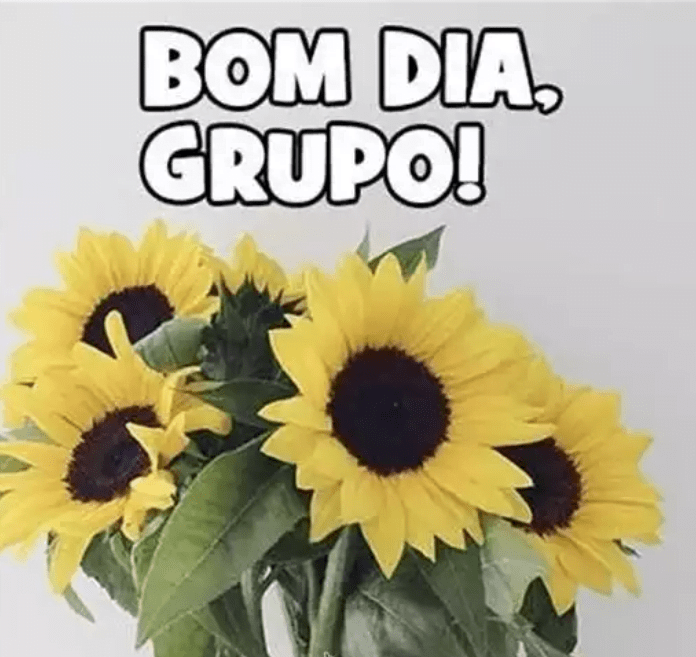 Imagens de bom dia grupo com flores