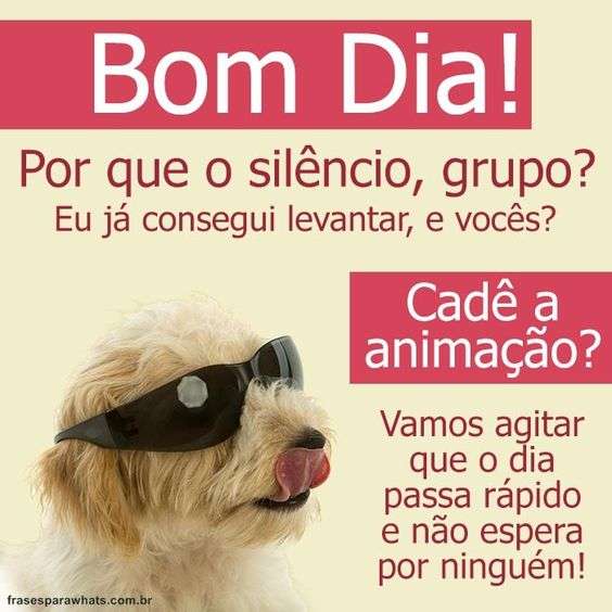 Frases de bom dia grupo