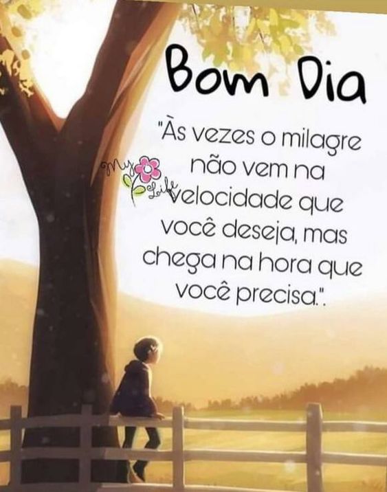 Bom dia o milagre vem