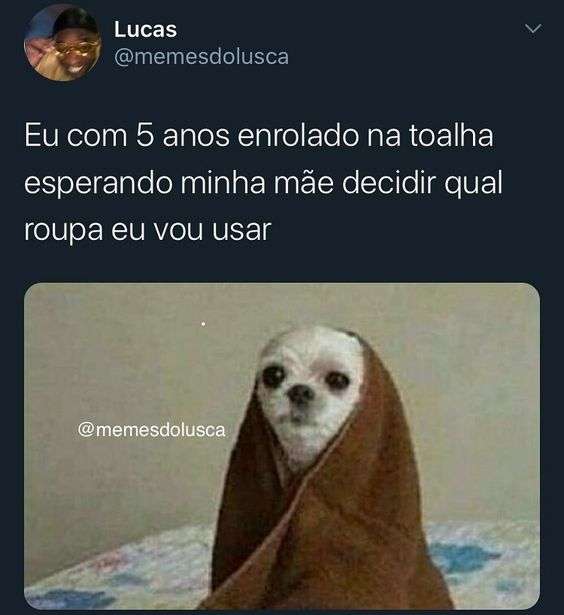 Frase engraçada cachorro enrolado