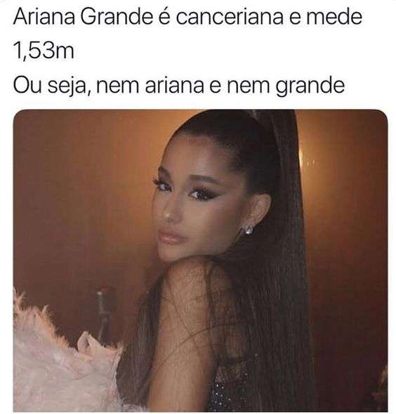 Meme ariana posando