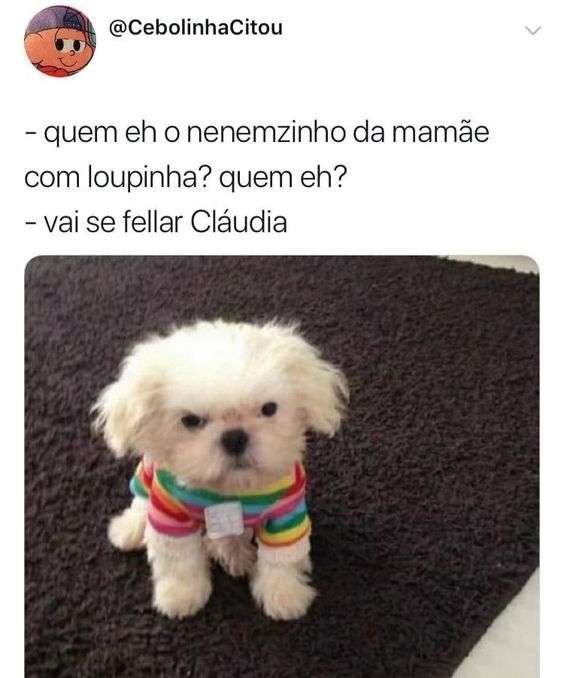 Memes engraçados de cachorros