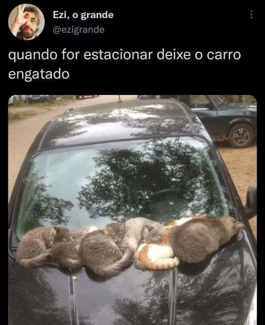 Frases engraçadas para Amigos