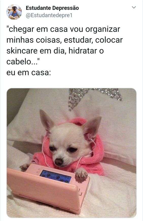 Meme cachorrinho fofo