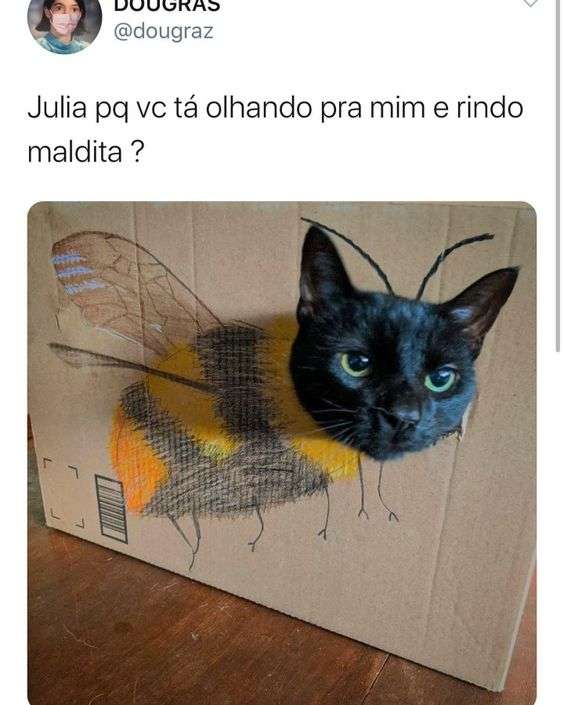 Memes engraçados com imagens e Frases