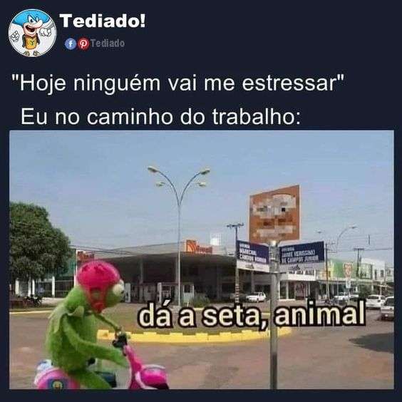 sapo verde