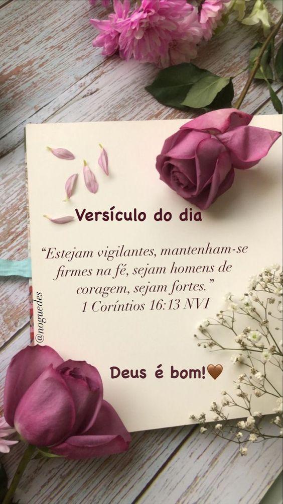 Bom dia estejam viilantes