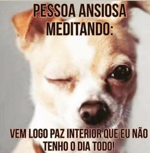 Frases engraçadas para rir